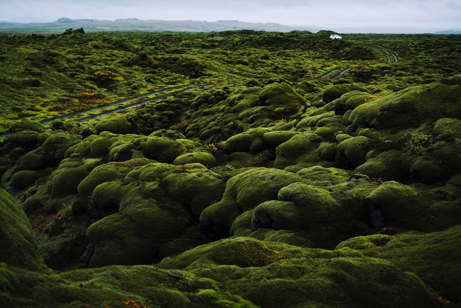 Iceland: Lava fields